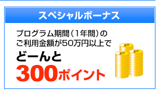 スペシャルボーナス