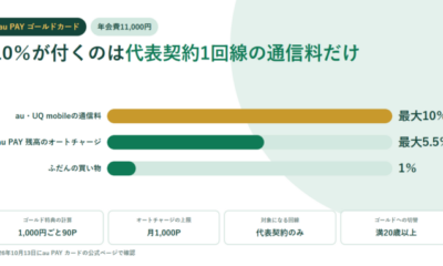 au PAY ゴールドカードの10%が付くのは代表契約1回線だけ|年会費11,000円は月約10,180円の通信料で取り返せる計算