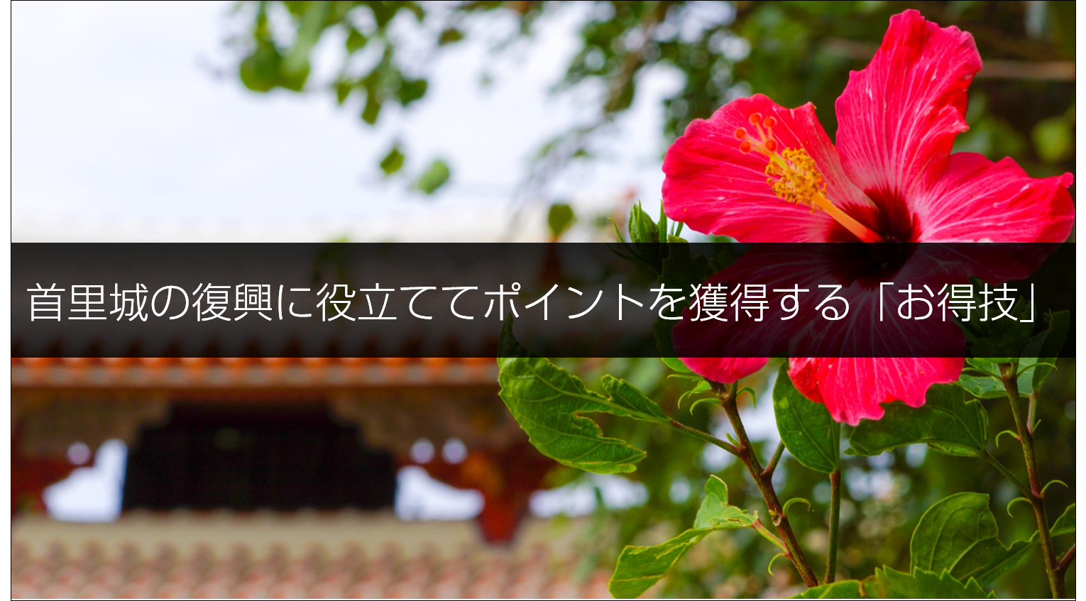 「首里城 火災保険」の画像検索結果